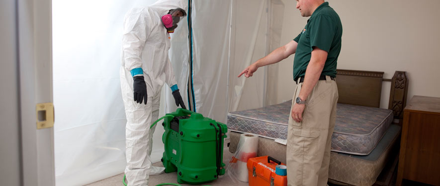 North Augusta, SC mold removal process